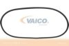 VAICO V10-0891 Seal, windscreen